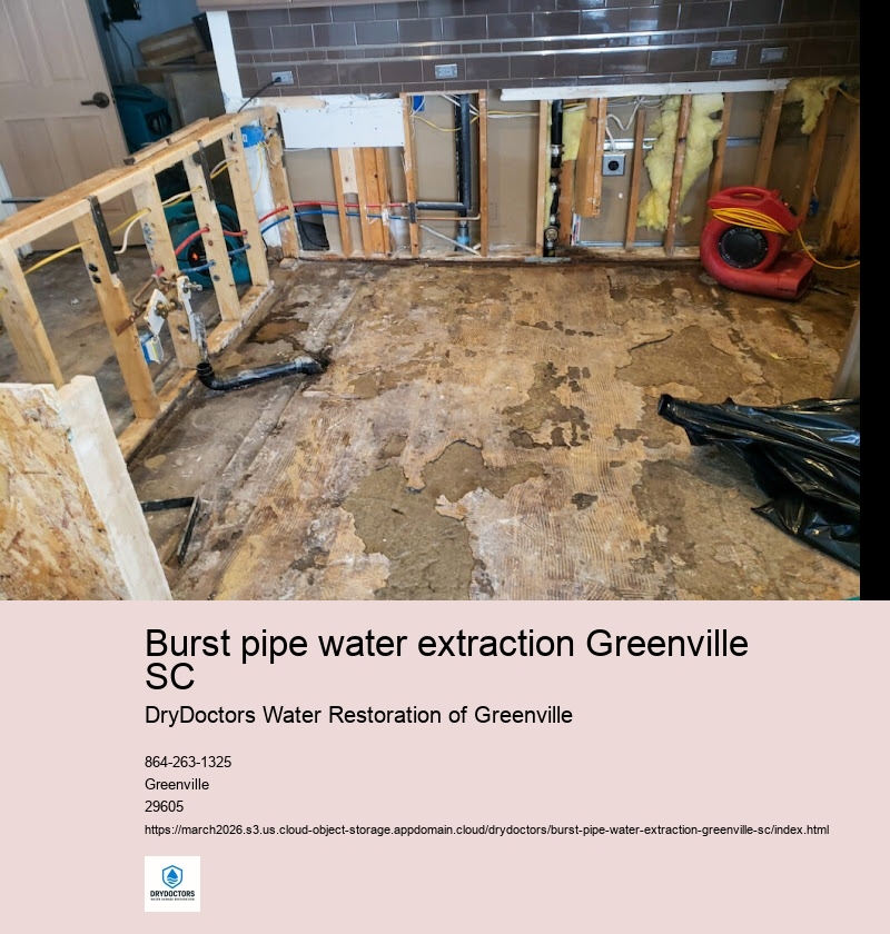 Causes of Burst Pipes