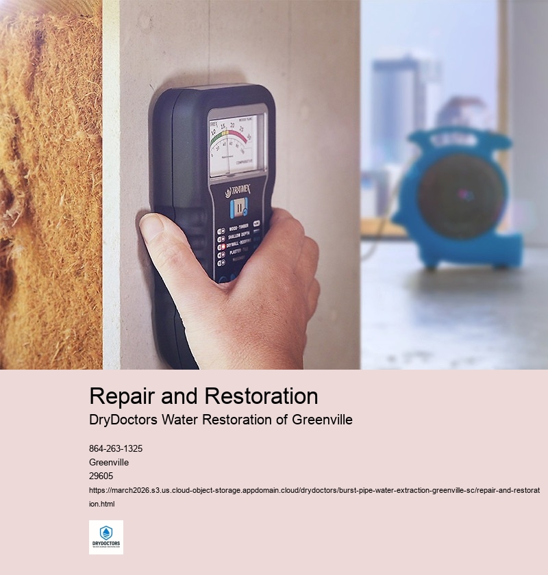 Assessing the extent of water damage