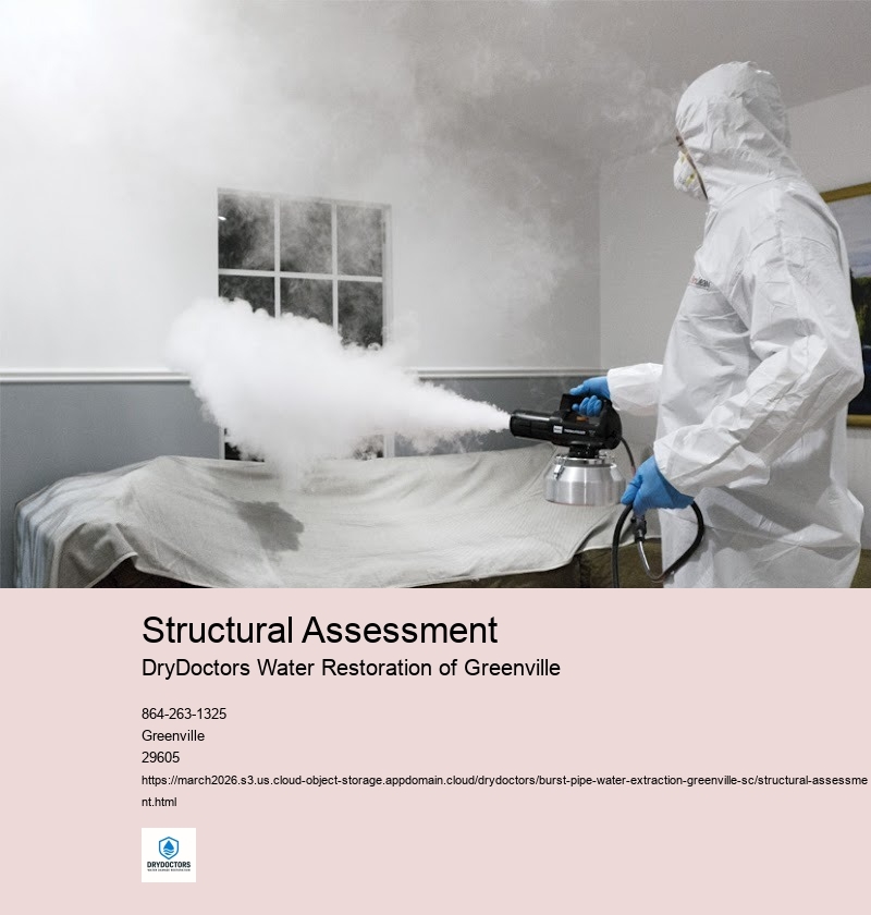 Scope of Structural Assessment