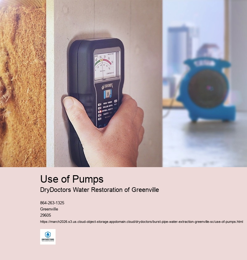 Types of pumps commonly used for burst pipe water extraction