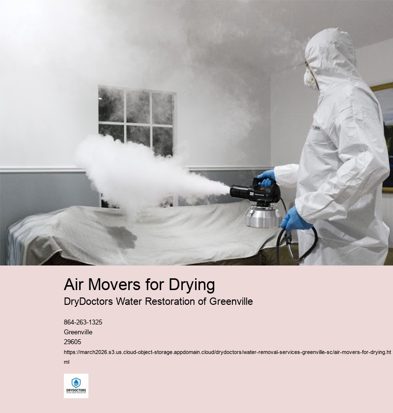 Importance of Air Movers in Water Removal Services