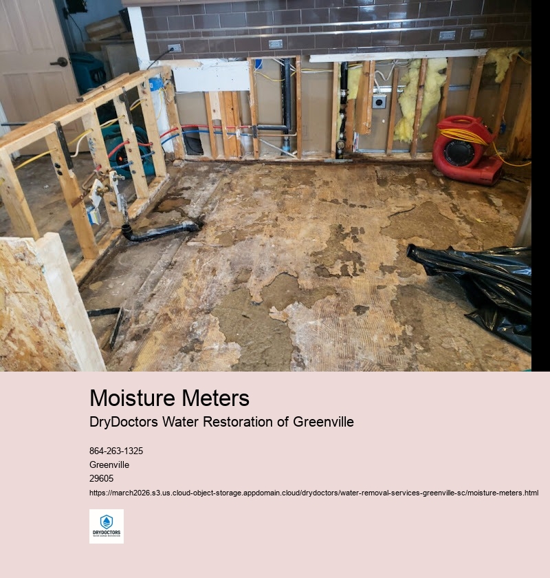 Importance of Using Moisture Meters in Water Removal Services