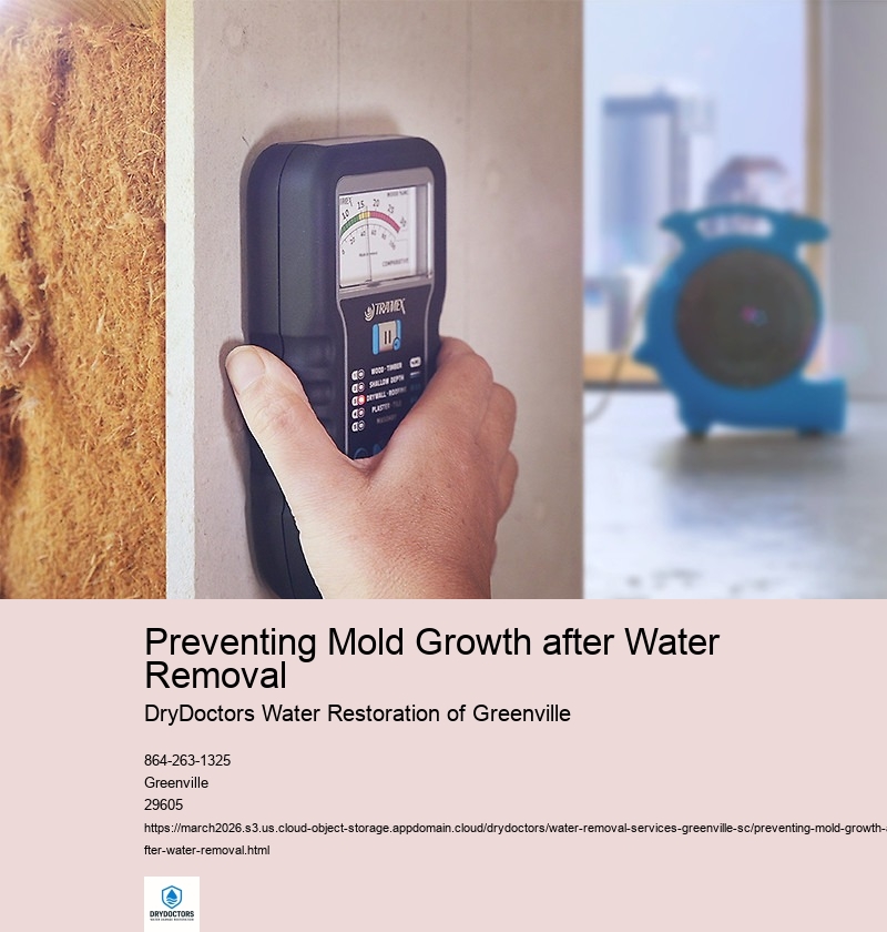 Inspect for Hidden Moisture