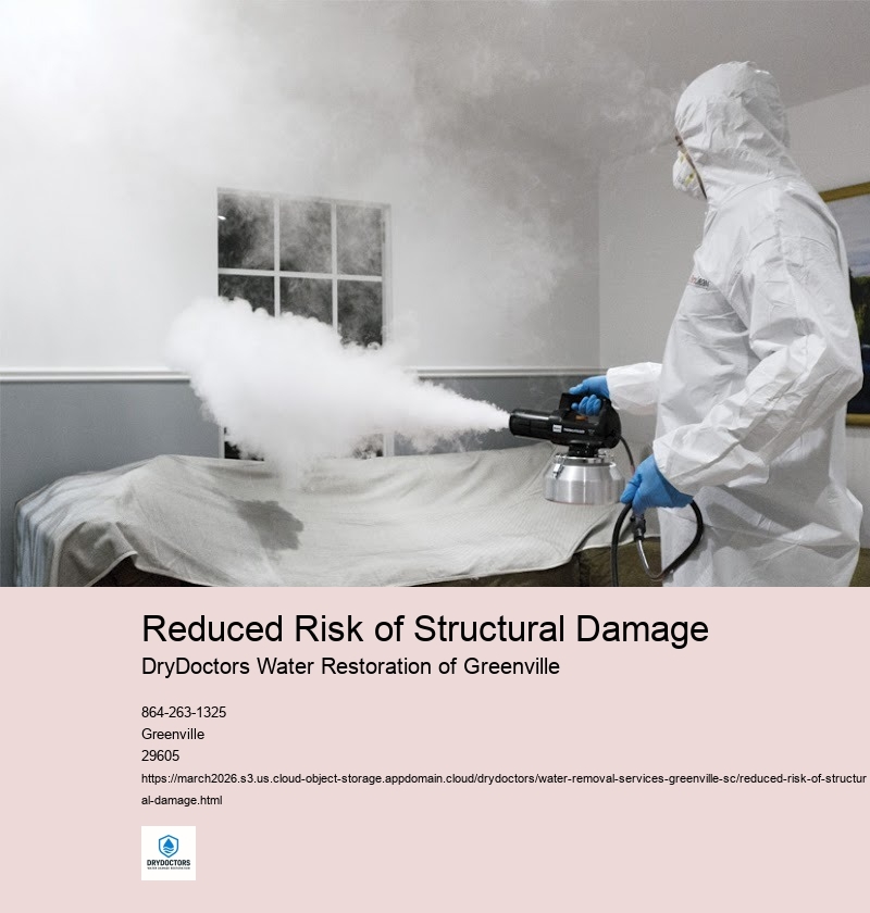 Importance of Prompt Water Removal