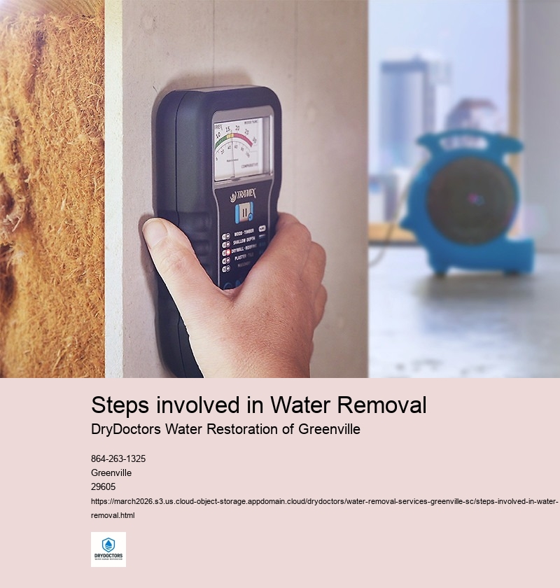 Assessing the extent of water damage