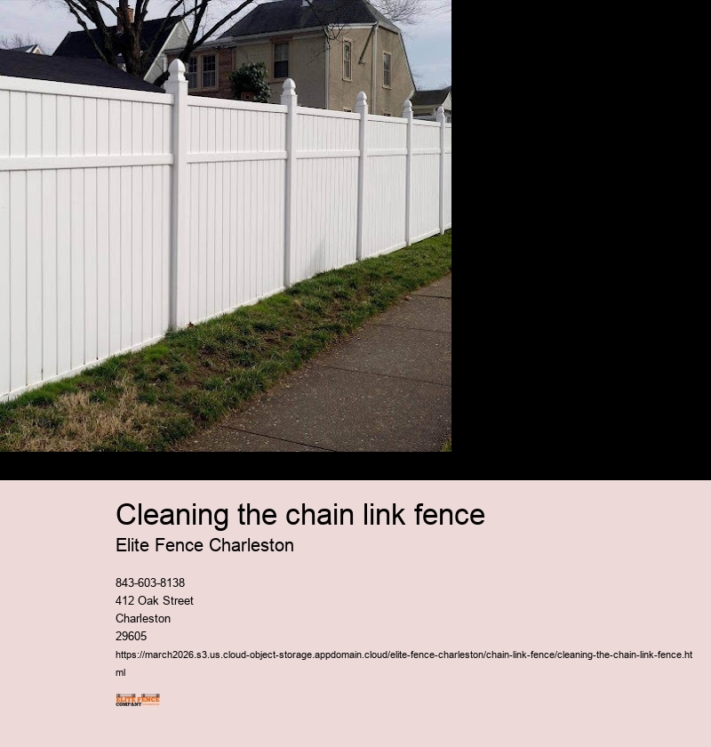 Scrubbing the chain link fence