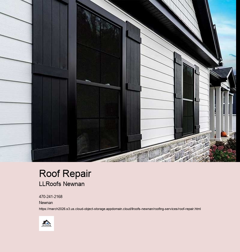 Common Roofing Problems